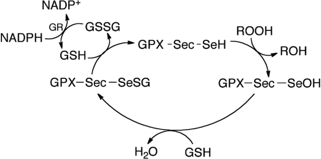 Figure 1: