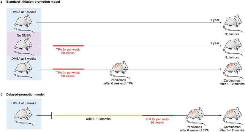 Fig. 1 ∣