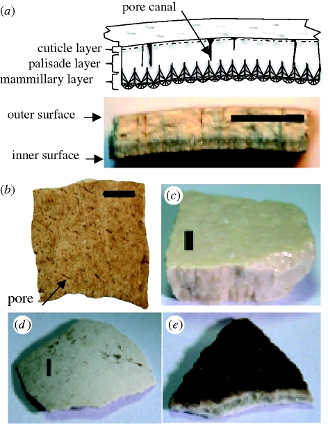 Figure 1.