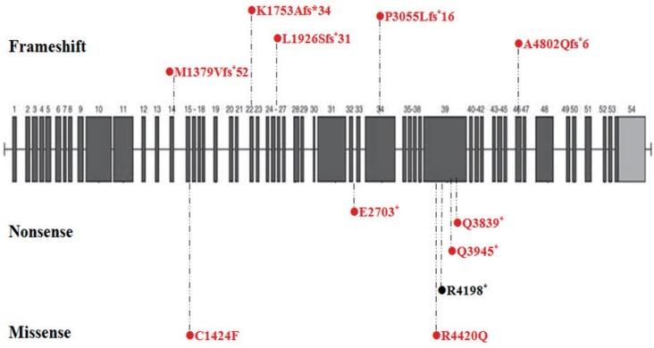 Fig. 2