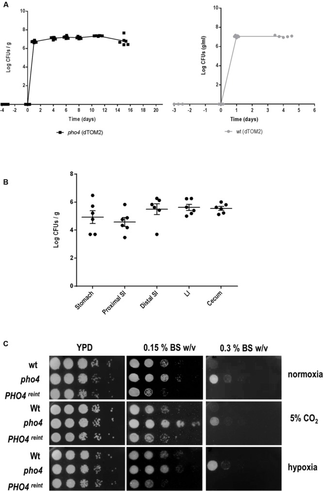 FIGURE 3