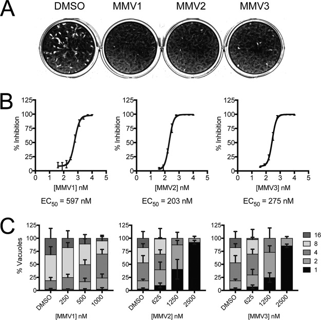 FIG 1