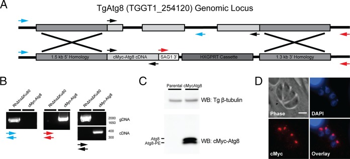 FIG 4