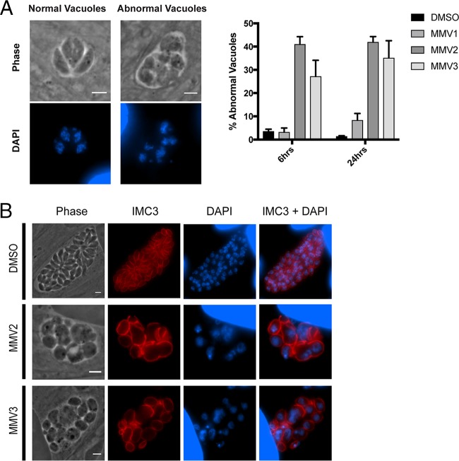 FIG 6