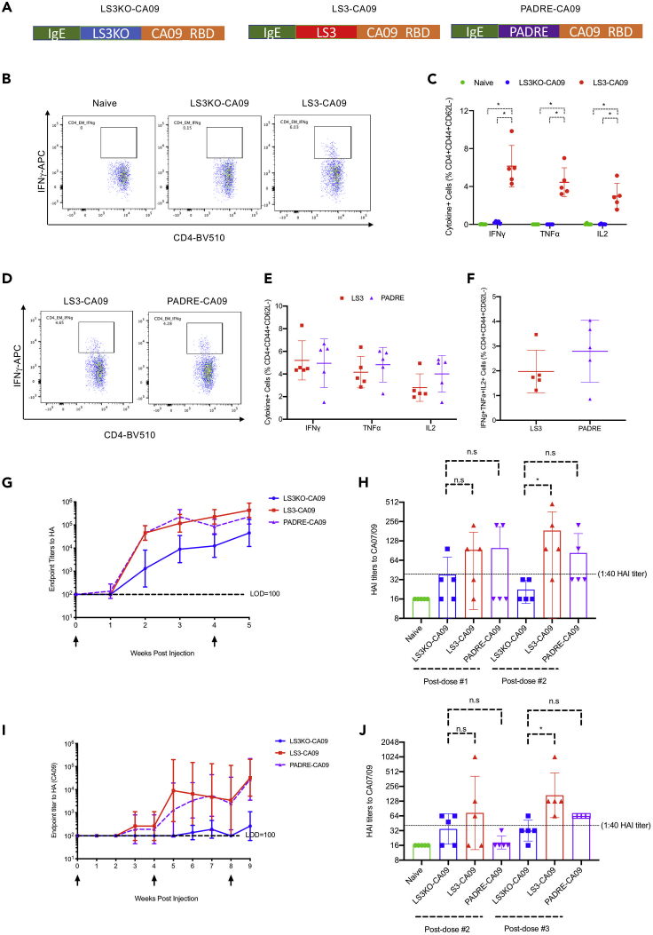 Figure 4