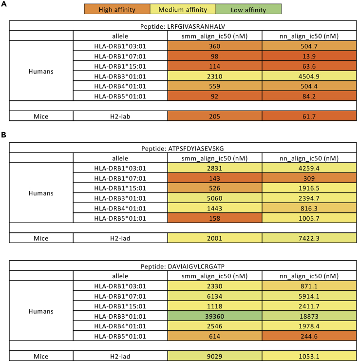 Figure 2