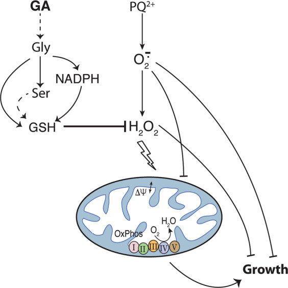 Fig. 9