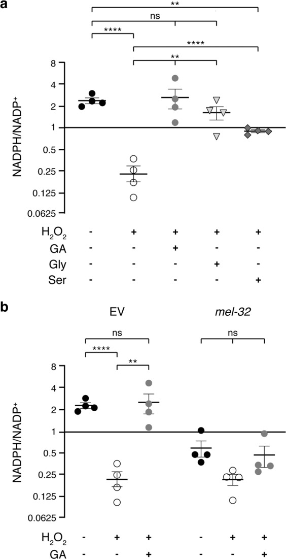 Fig. 8