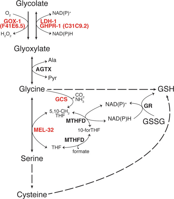 Fig. 4