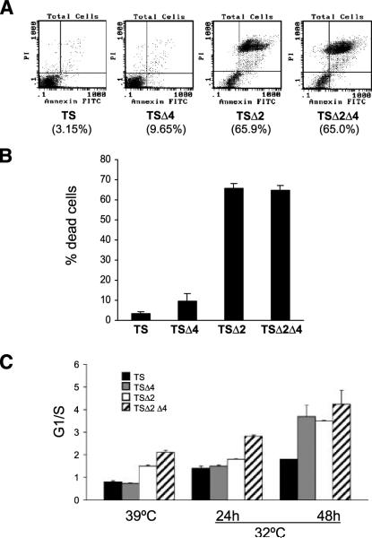 FIGURE 4