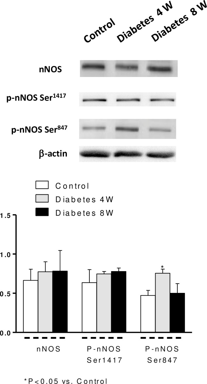 Fig 5