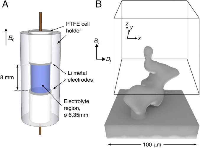 Fig. 7.