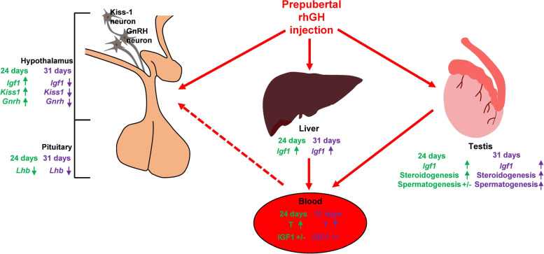 Fig. 9