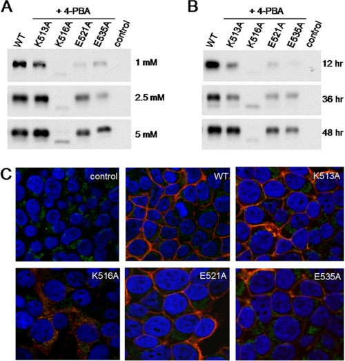 FIGURE 4.