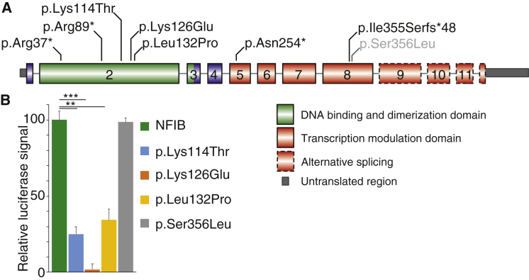 Figure 3