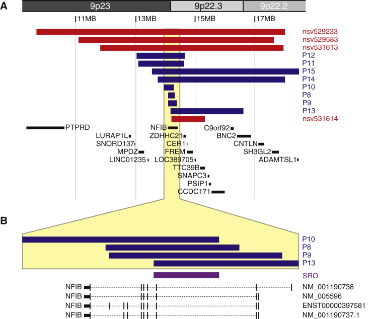 Figure 2