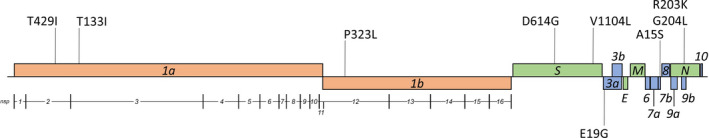 FIGURE 2