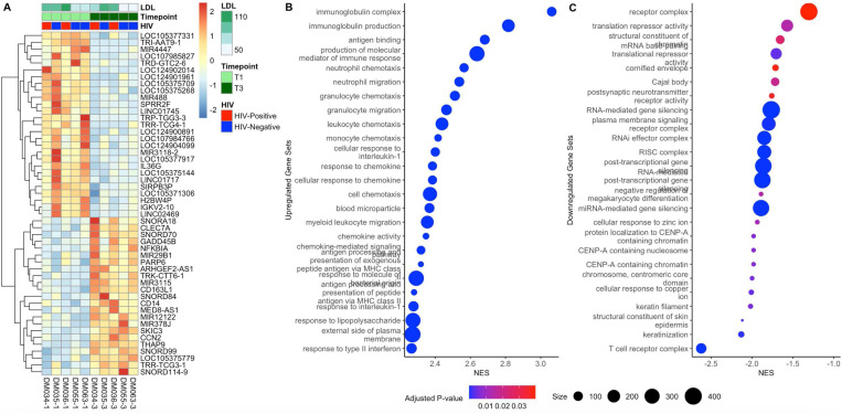 Figure 5: