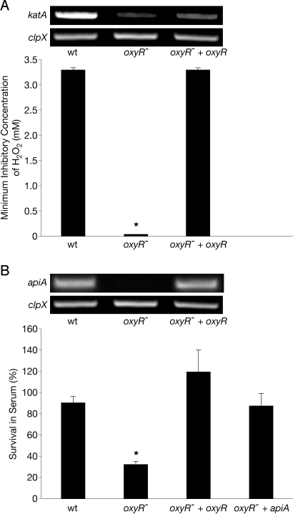 Fig. 4.