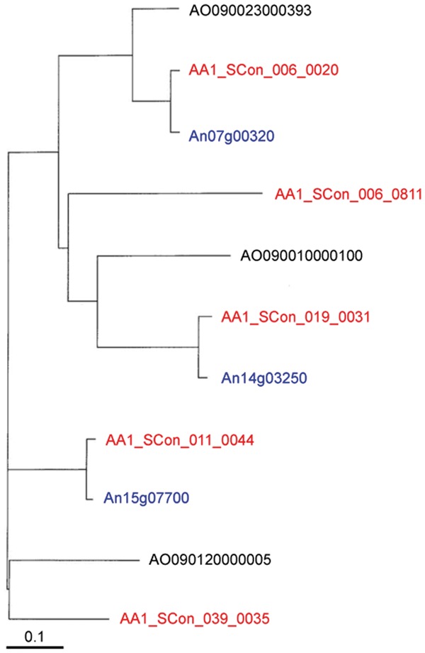 Figure 2