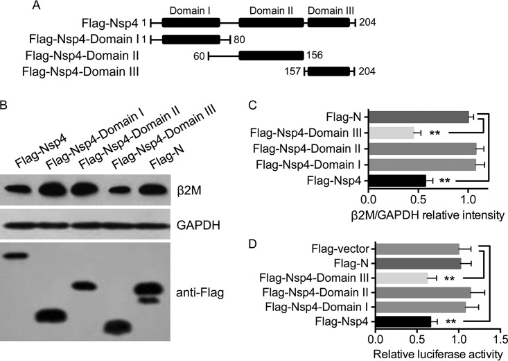 FIG 6