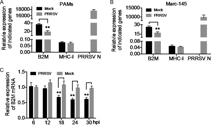 FIG 3