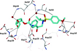 Figure 19