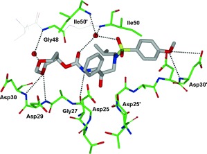 Figure 25