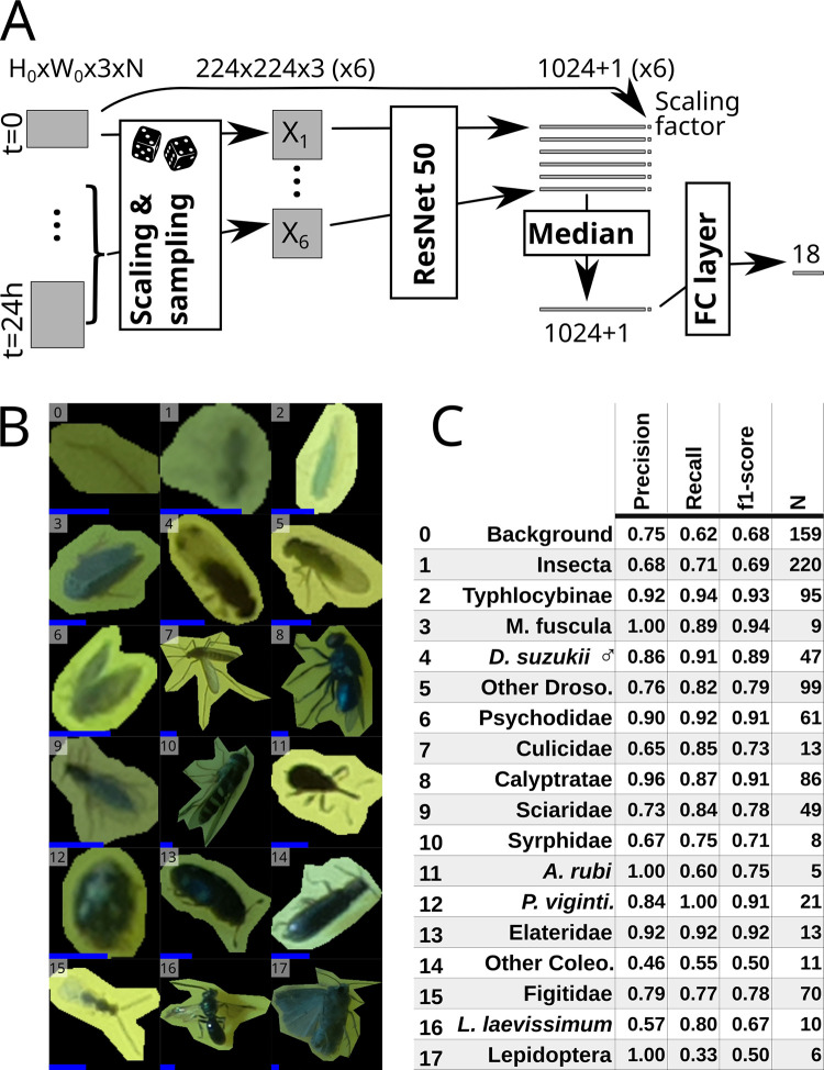 Fig 3