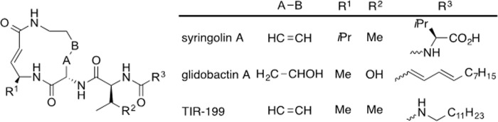 FIGURE 1.