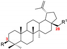 graphic file with name molecules-25-06019-i001.jpg