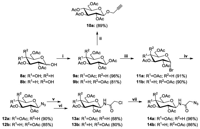 Scheme 5