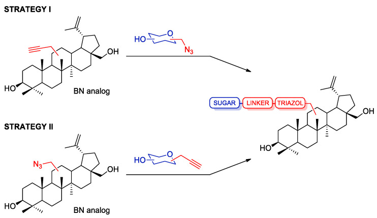 Scheme 2