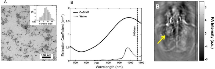 Fig. 12