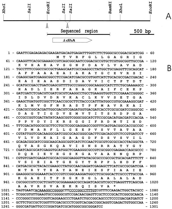 FIG. 1