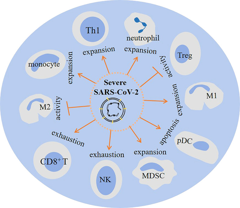 Figure 5