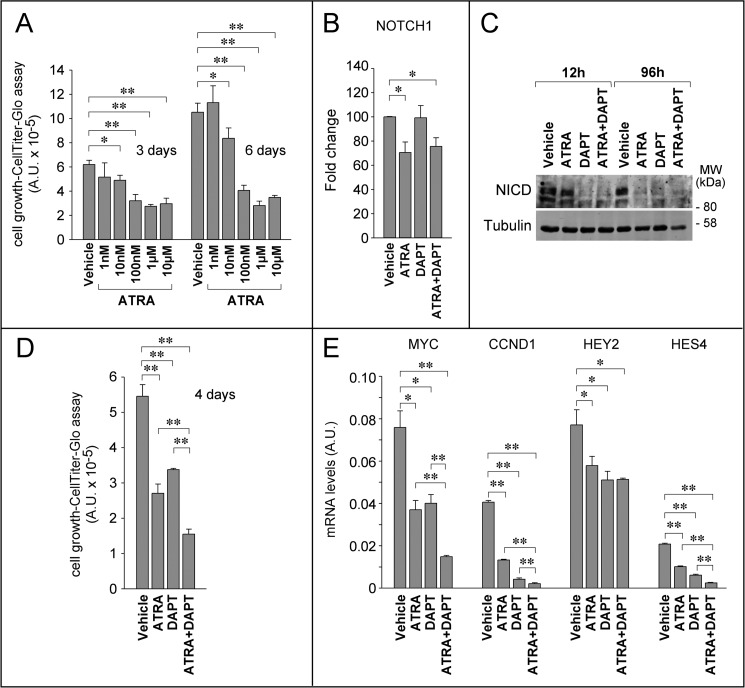 FIGURE 12.