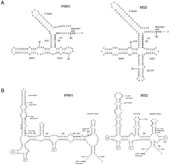 FIG. 4.