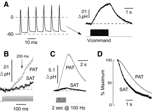 Fig. 7.