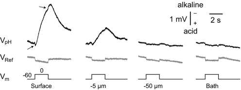 Fig. 1.