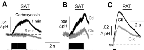 Fig. 8.