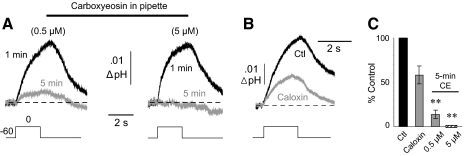 Fig. 6.