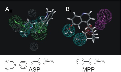 Fig. 10.