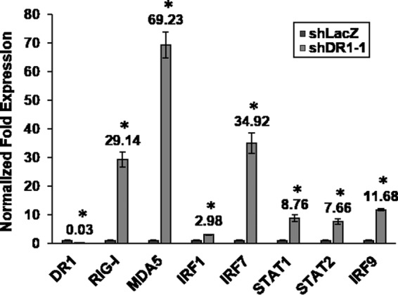 FIG 2