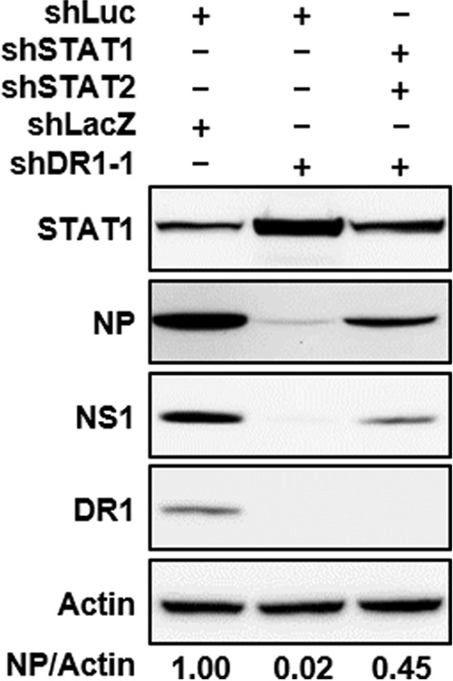 FIG 5