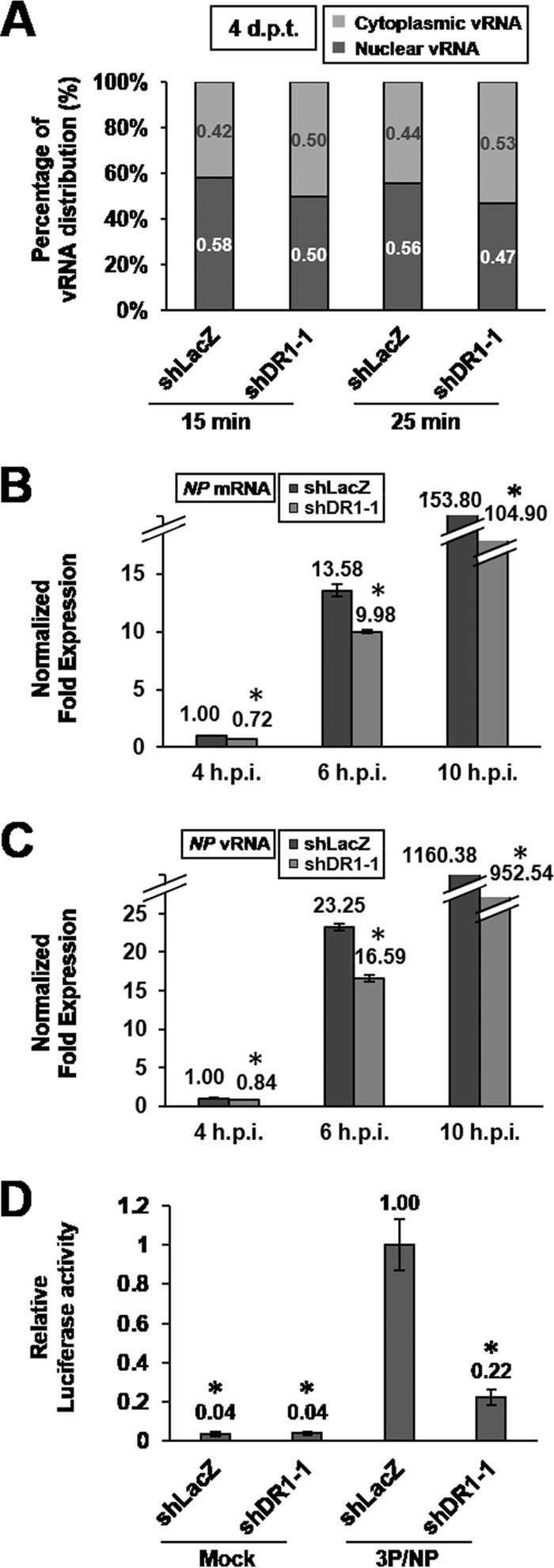 FIG 6