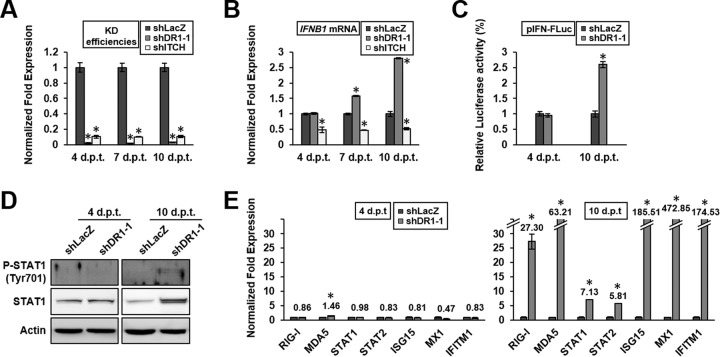 FIG 3