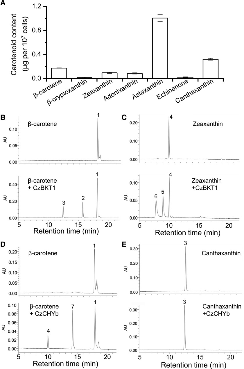 Figure 3.