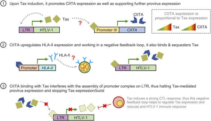 Figure 4