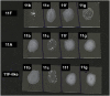 Fig. 4